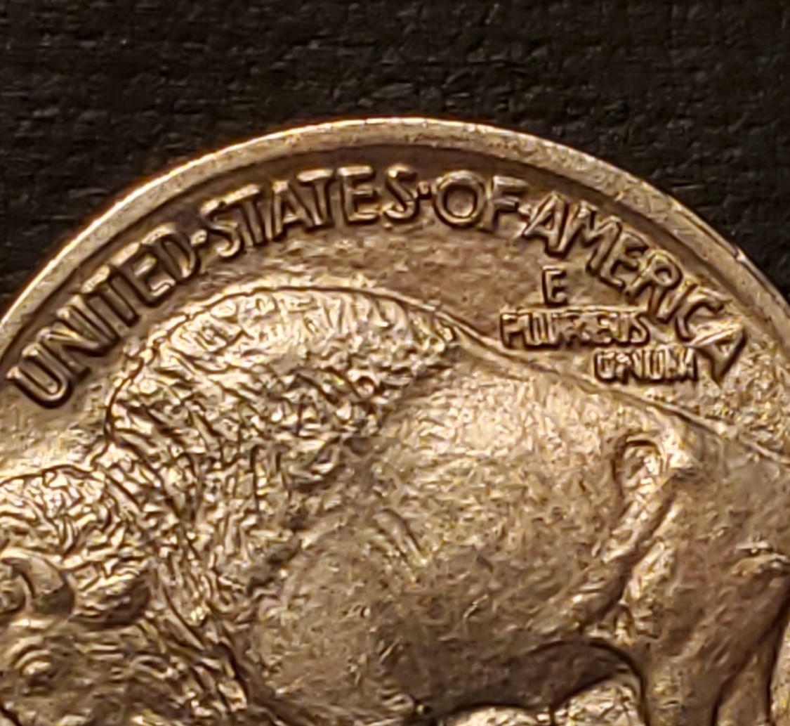 1913-P-Buffalo-Nickel-For-Grading